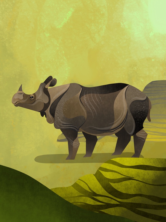 Greater One-Horned Rhino