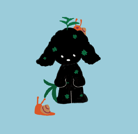 Sad poodle #006