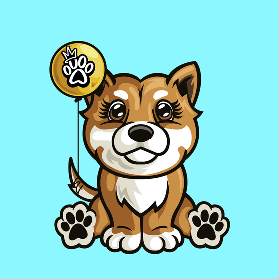 Shiba Inu 0610