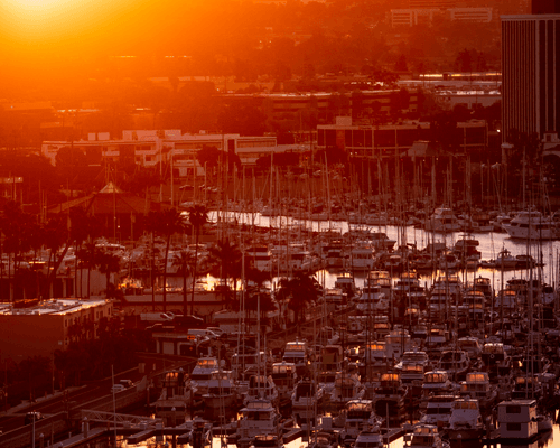 Marina Del Reys 