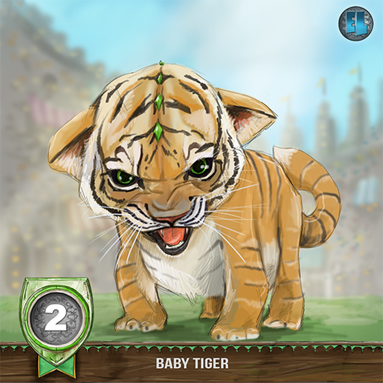 Baby Tiger