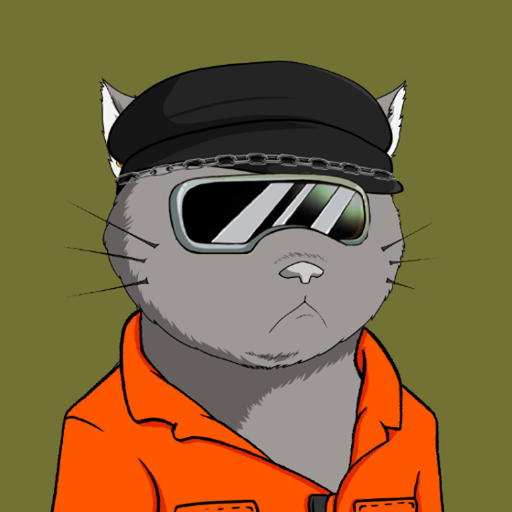 Kitaro Yacht Club #7262