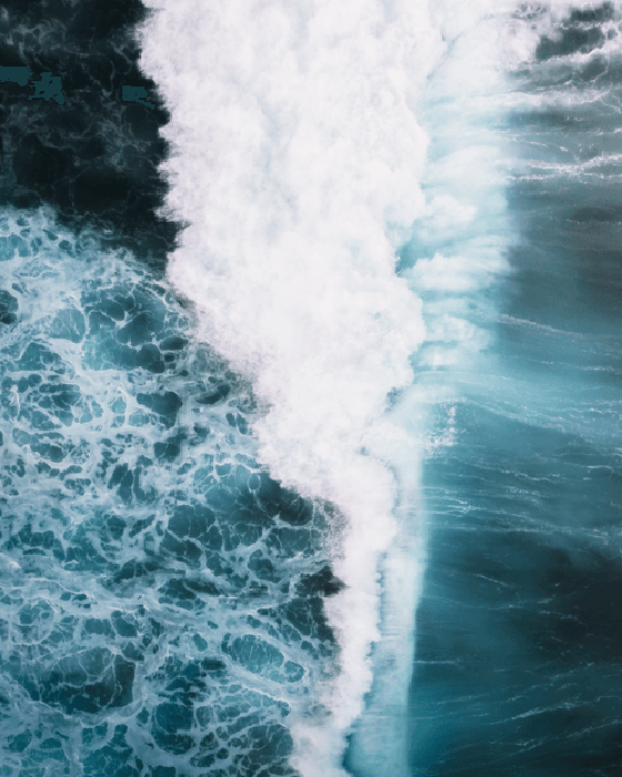 The Waves