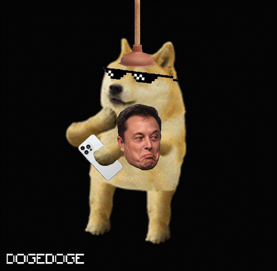 DOGEDOGE #1494