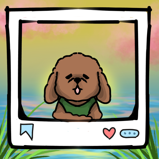 旅する犬 #19