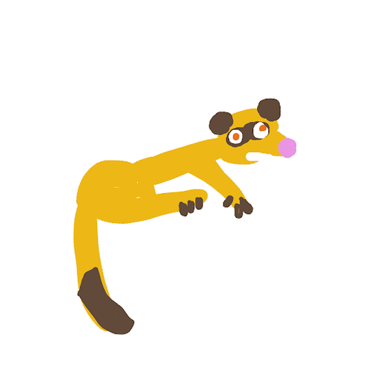 Kinkajou