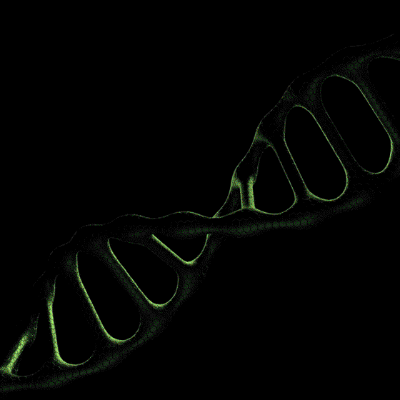 PLC Morphing Gamma Gene #61