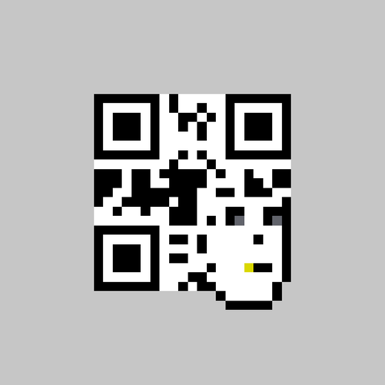 QR Pixels #4998