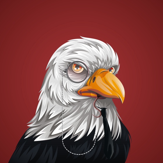 #1389 Bald Eagle