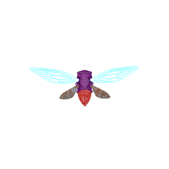 Cicadas #8350