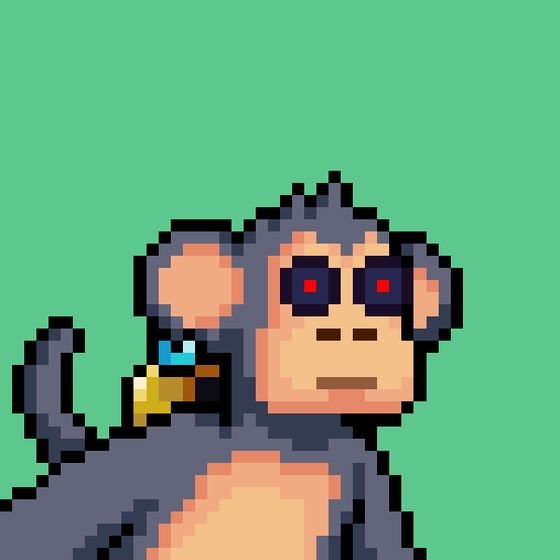 Just Chimps #2892