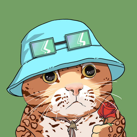 Puzzled cat #9645