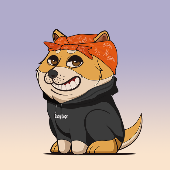 Baby Doge #2216
