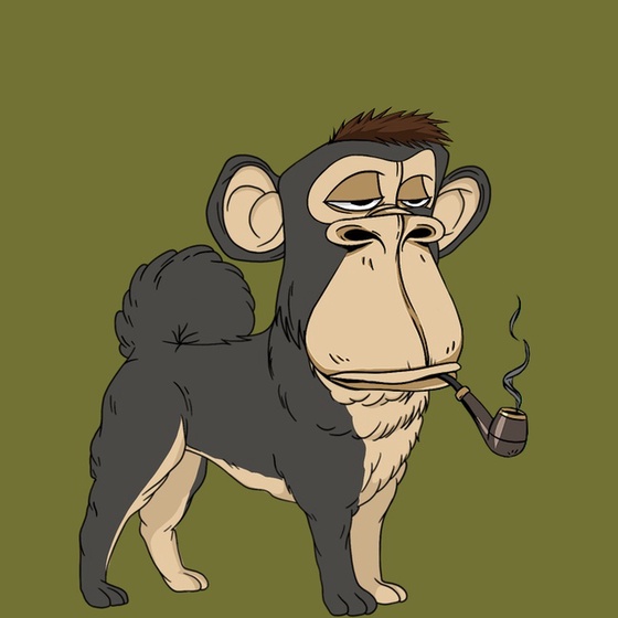 Kennel Ape #6955