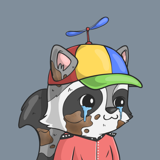 LookAtMyRaccoon #1067