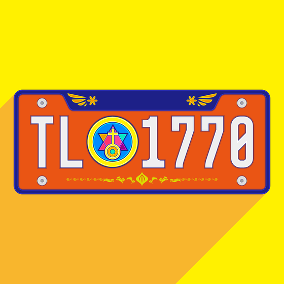 Meta License Plates #1311