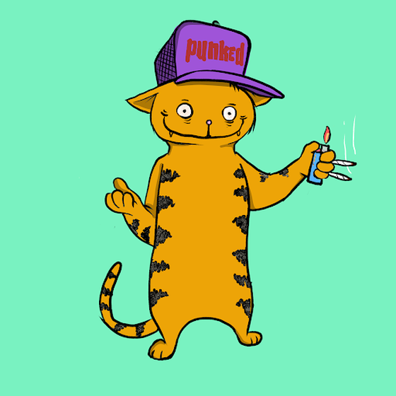 Blazed Cat #633