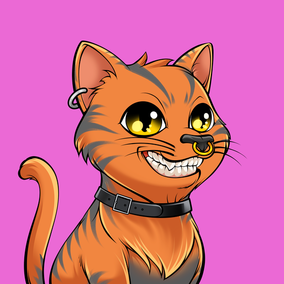 Cat #1743
