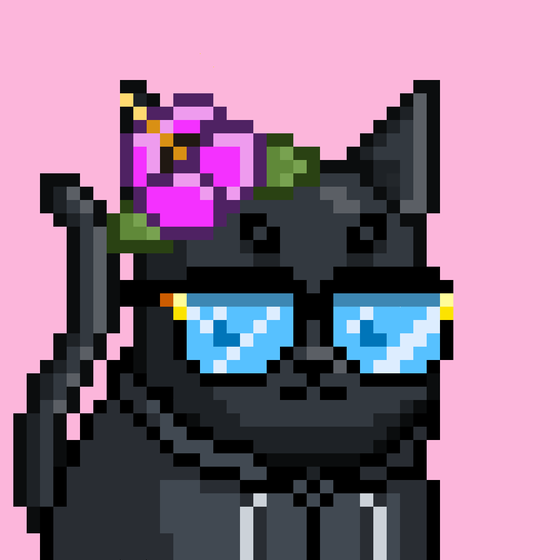 Mooncatz #816