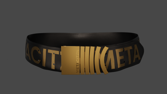 Sleek Belt