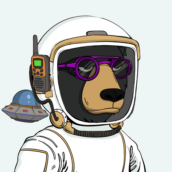 Okay Space Bear #2607