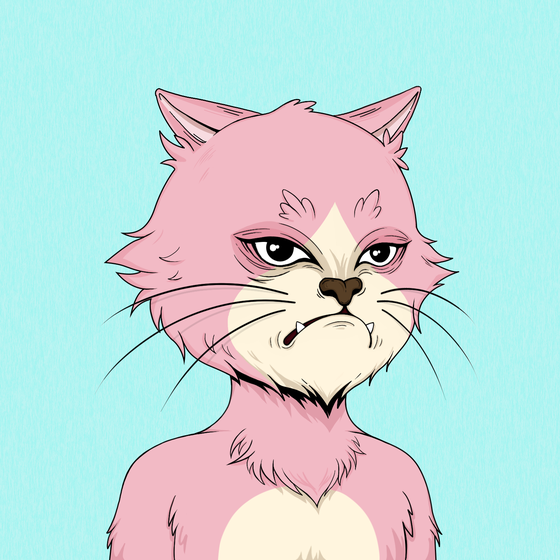 Angry Cat #4793