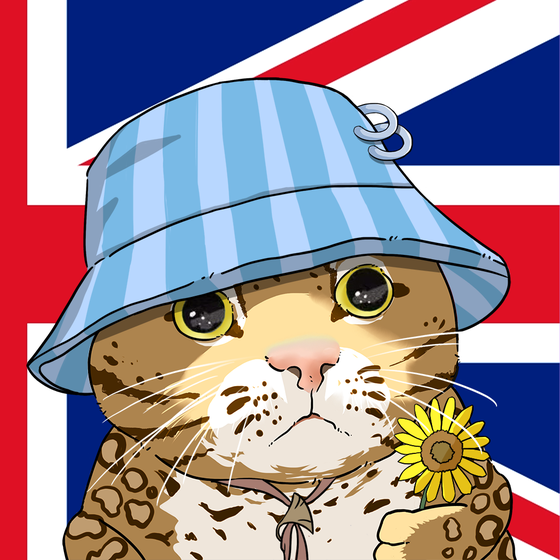 Puzzled cat #9275
