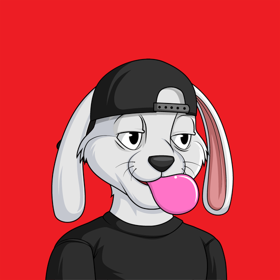 bunny #5264