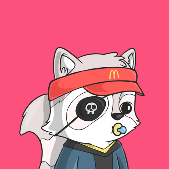 LookAtMyRaccoon #3702