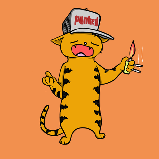 Blazed Cat #2614