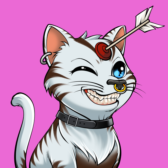 Cat #404