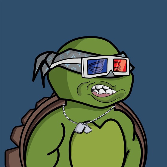 Degen Ninja Turtle #4605