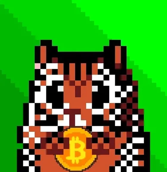 Cryptohamster tiger WOW edition