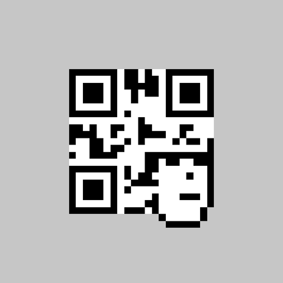 QR Pixels #5309