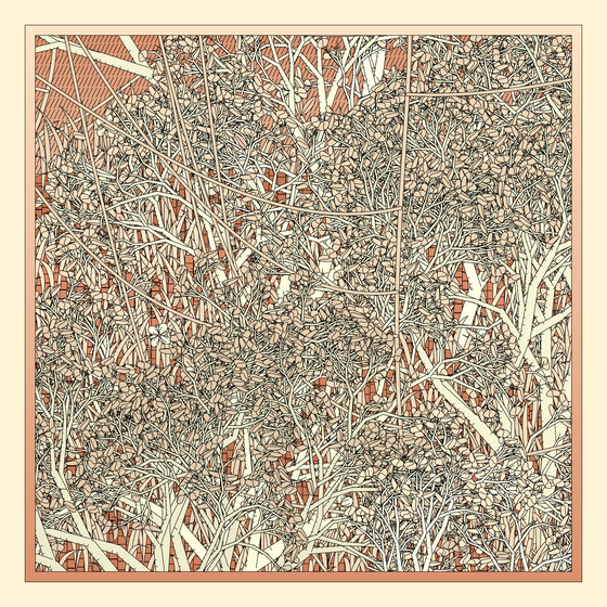 Entangled #137