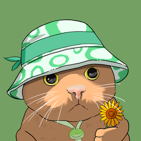 Puzzled cat #8962