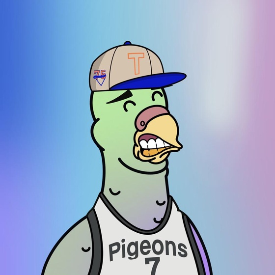 Pigeon #348