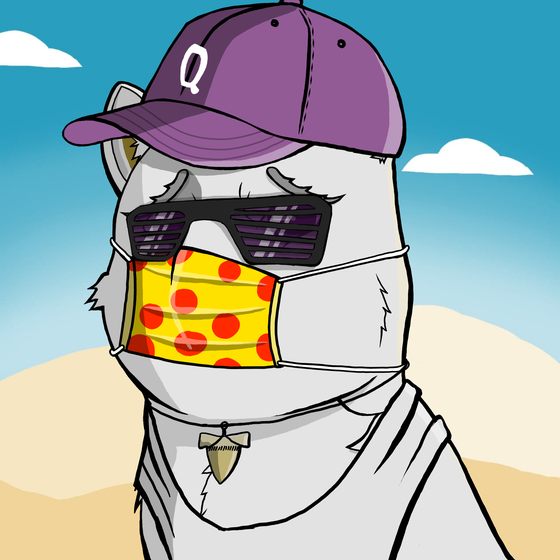 DogeX#2057