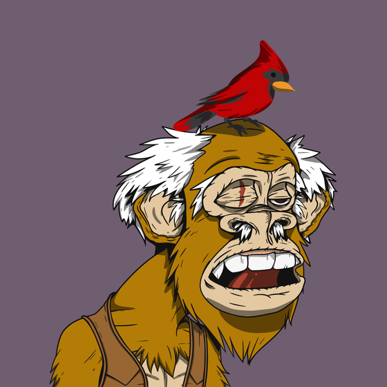 Grandpa Ape #4389