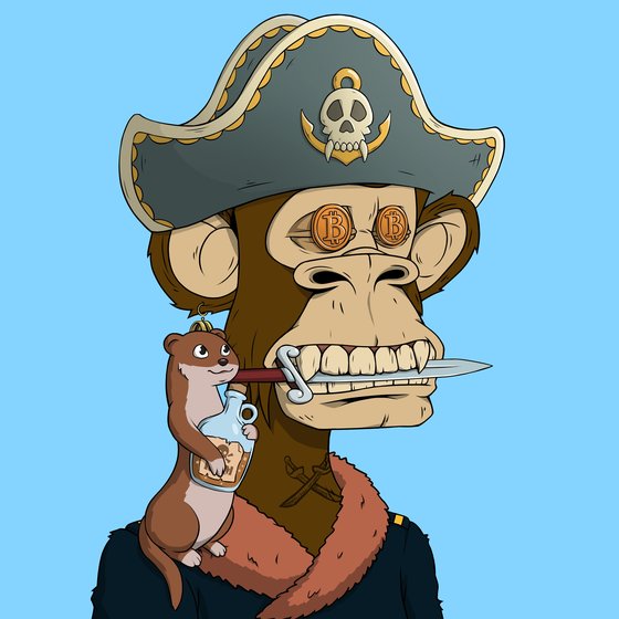 PirateApe #1211