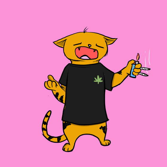 Blazed Cat #4742