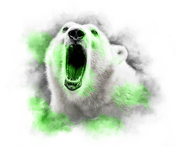 LIME SERIES - POLAR BEAR