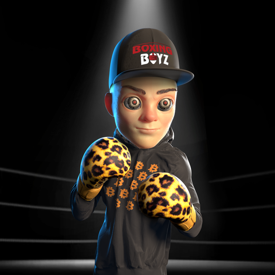 Boxing boy #1175