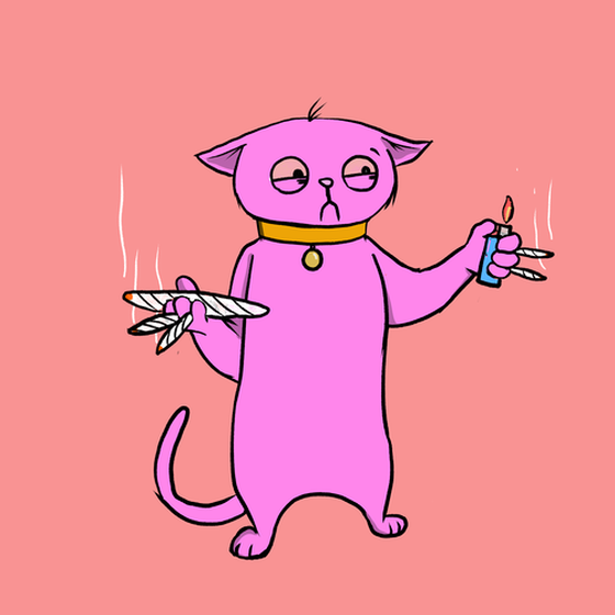 Blazed Cat #4409