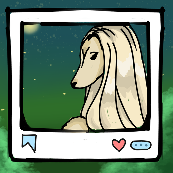 旅する犬 #827