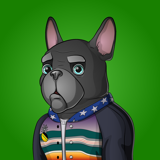 Bohemian Bulldog #5804