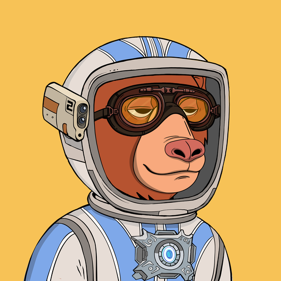 Okay Space Bear #3904