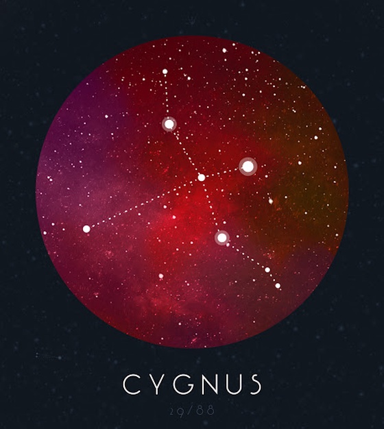 Cygnus