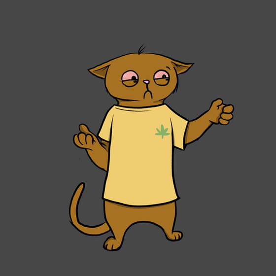 Blazed Cat #5126