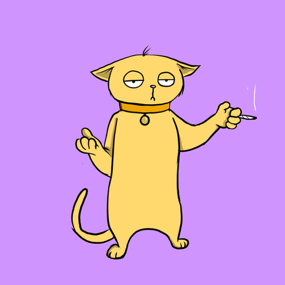 Blazed Cat #266